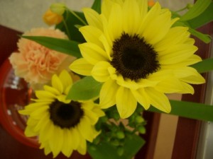 PICT0002