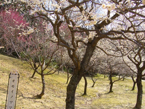 画像 724