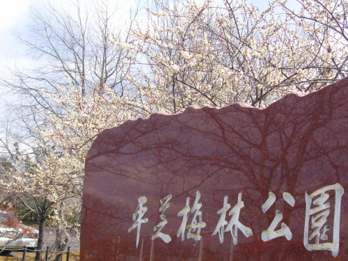画像 734