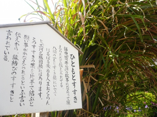 P1000595