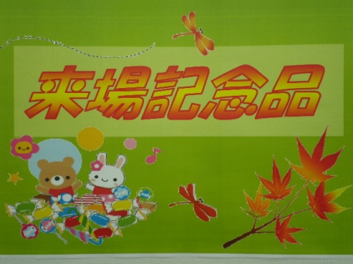 IMGP3511