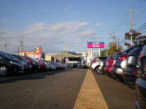 IMGP3516