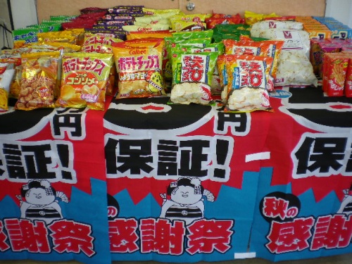 IMGP3519