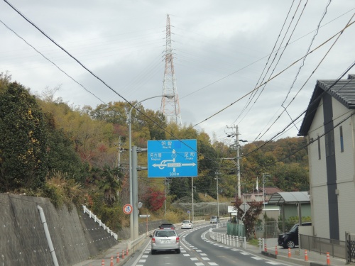 画像 445
