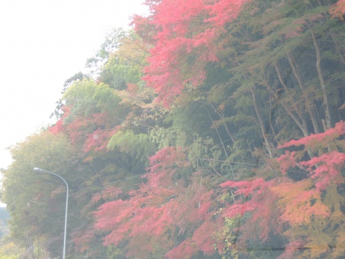 画像 448