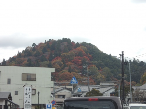 画像 449