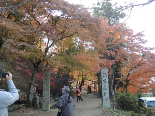 画像 450