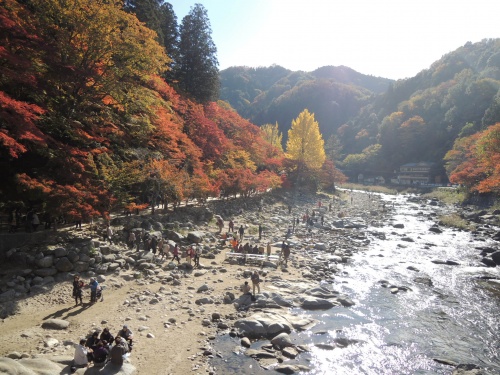 画像 476