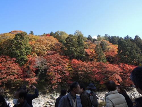 画像 477