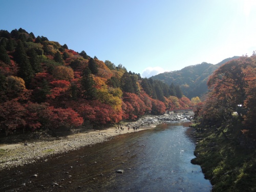 画像 478
