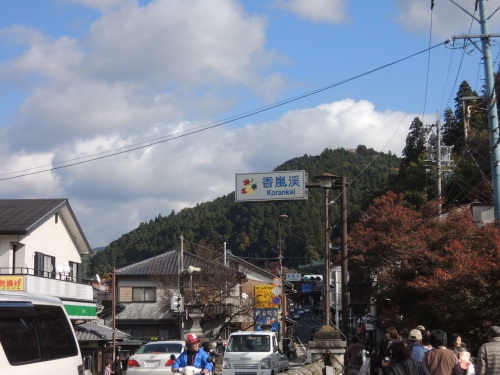 画像 481