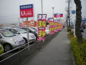 IMGP9624