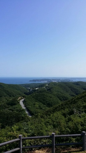 展望台からの景色
