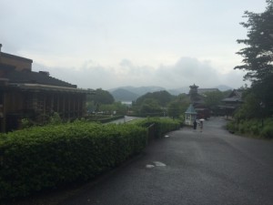 IMG_4829