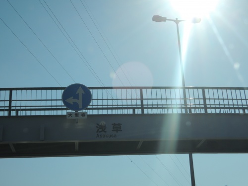 DSCN5691