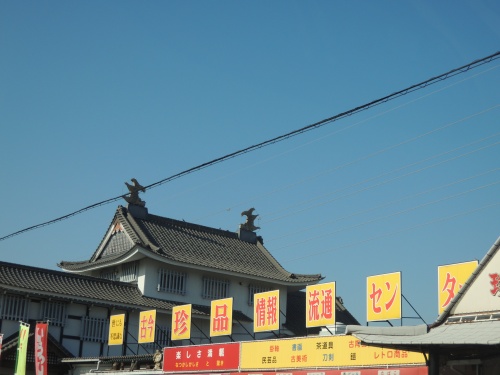 DSCN5699