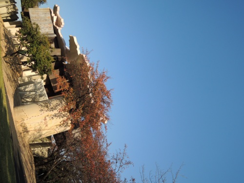 DSCN5732