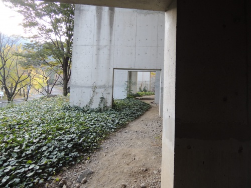 DSCN5767