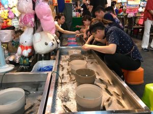 台湾 エビ釣り