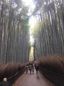 竹林